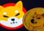 Susul Dogecoin, Nilai Pasar Shiba Inu Masuk 10 Besar