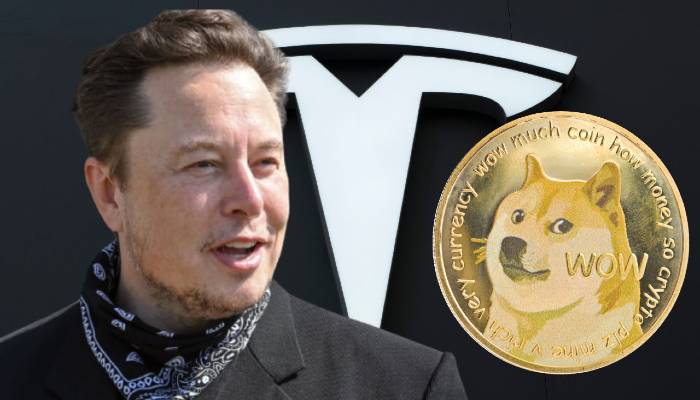 Sekarang Bisa Beli Produk Tesla Pakai Dogecoin