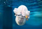 Kerenn, Insinyur Caltech Buat Robot Otonom yang Bisa Jelajahi Lautan