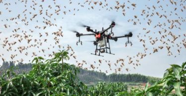 Cara Drone dan Superkomputer Lindungi Pertanian Dari Serangan Wabah Belalang