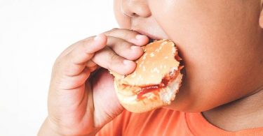 Pengaruh Pola Makan Ibu Terhadap Obesitas Anak-anak