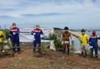 Rayakan Hari Menanam Pohon Nasional, Pertagas Hijaukan Kawasan Pantai Utara Jawa