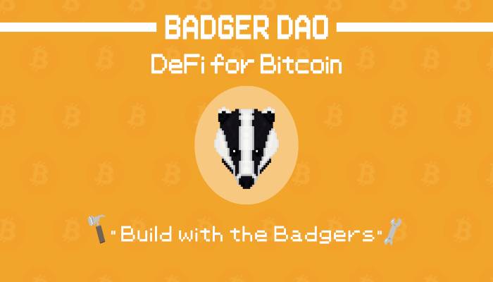 Jadi Korban Aksi Hacking, DeFi Badgerdao Kecolongan 120 Juta Dollar