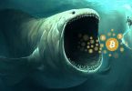 Apa Itu Fenomena Whale dalam Dunia Cryptocurrency