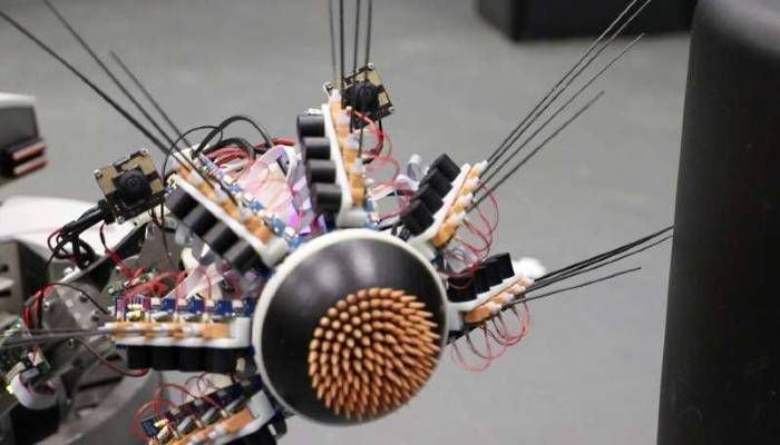 EBrains, Robot Yang Bisa Belajar Menggabungkan Visual dan Sentuhan
