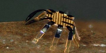 Insinyur Universitas Northwestern Ciptakan Robot Kepiting Terkecil Dunia