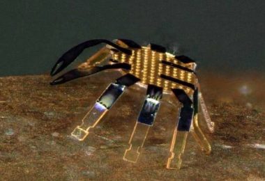 Insinyur Universitas Northwestern Ciptakan Robot Kepiting Terkecil Dunia